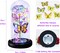 Gifts for Women Galaxy Butterfly Rose in Glass Dome, Light Up Forever Roses Birthday Gifts for Mom Grandma Wife, Eternal Rose Gifts for Mother's Day Valentines Anniversary Thanksgiving Gifts